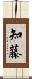 知藤 Scroll