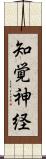 知覚神経 Scroll