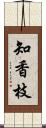 知香枝 Scroll