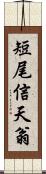 短尾信天翁 Scroll