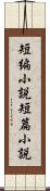 短編小説 Scroll