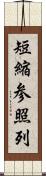 短縮参照列 Scroll