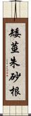 矮莖朱砂根 Scroll