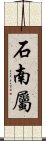 石南屬 Scroll