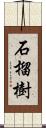 石榴樹 Scroll