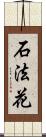 石法花 Scroll