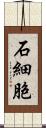 石細胞 Scroll