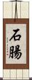 石腸 Scroll