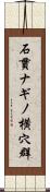 石貫ナギノ横穴群 Scroll