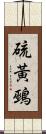 硫黃鵐 Scroll