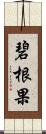 碧根果 Scroll