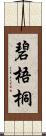 碧梧桐 Scroll