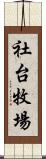 社台牧場 Scroll