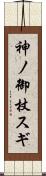 神ノ御杖スギ Scroll