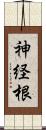 神経根 Scroll
