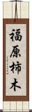 福原柿木 Scroll