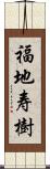 福地寿樹 Scroll