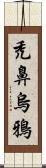 禿鼻烏鴉 Scroll