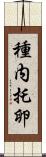 種内托卵 Scroll