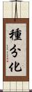 種分化 Scroll