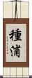 種浦 Scroll