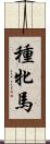 種牝馬 Scroll