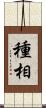 種相 Scroll