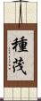 種茂 Scroll