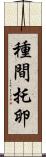 種間托卵 Scroll
