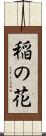 稲の花 Scroll