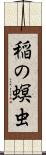 稲の螟虫 Scroll