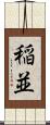 稲並 Scroll