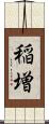 稲増 Scroll