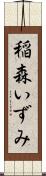稲森いずみ Scroll