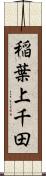 稲葉上千田 Scroll