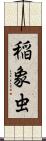 稲象虫 Scroll