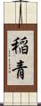 稲青 Scroll