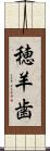 穂羊歯 Scroll