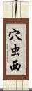 穴虫西 Scroll