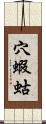 穴蝦蛄 Scroll
