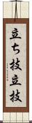 立ち技;立技 Scroll