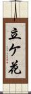 立ケ花 Scroll