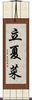 立夏菜 Scroll