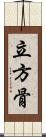 立方骨 Scroll