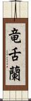 竜舌蘭 Scroll