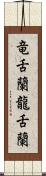 竜舌蘭 Scroll