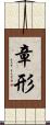 章形 Scroll