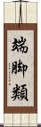 端脚類 Scroll