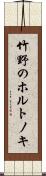 竹野のホルトノキ Scroll
