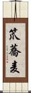 笊蕎麦 Scroll